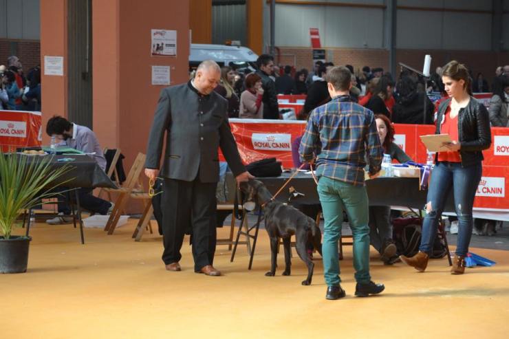 10429821_10205868660345177_7456593432515058239_n