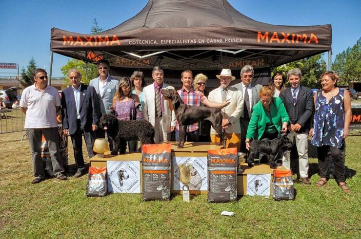 12548895_10208814015337211_2799925088878067421_n