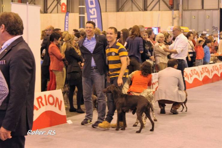 13235572_1808127512751947_3804614704215023670_o