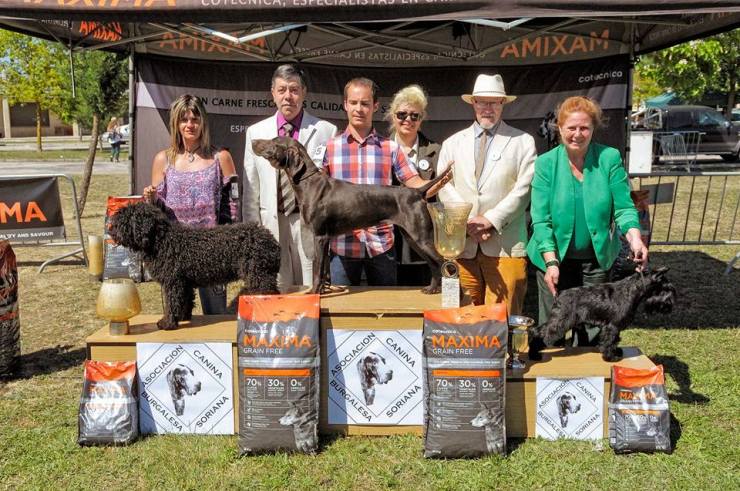 600311_10208814009937076_943994192912134450_n