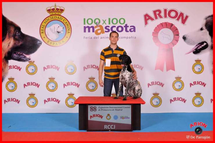 13268143_10209268924349652_3710829302606097905_o