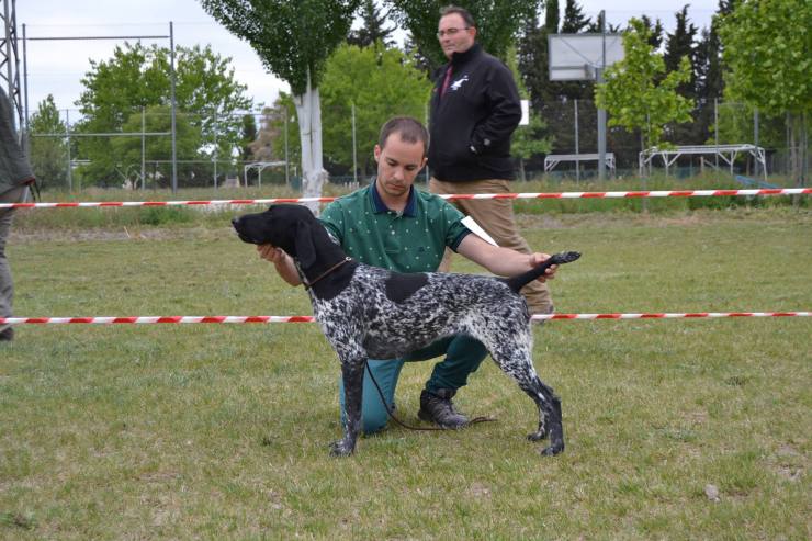 18235998_1471167676277131_1103267085_o