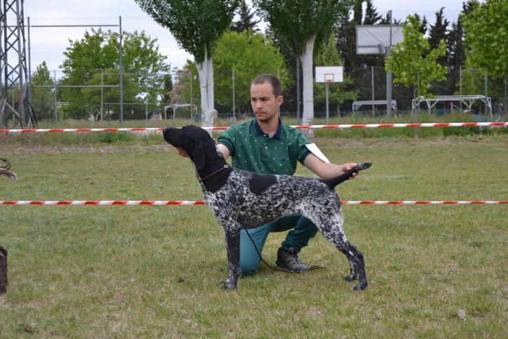 18260830_1471167022943863_315005019_o