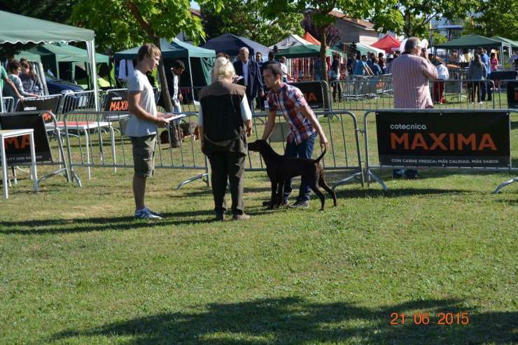 received_10211679504452648