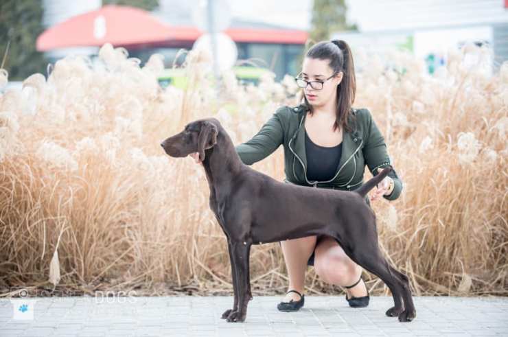 52681995_2554764881254601_6579843030788866048_n